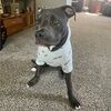 scootie65